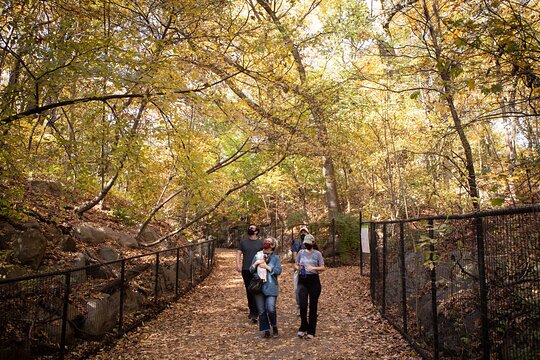 Tour image 7
