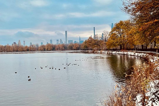 Tour image 7