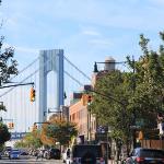  Pet friendly Hotels Brooklyn